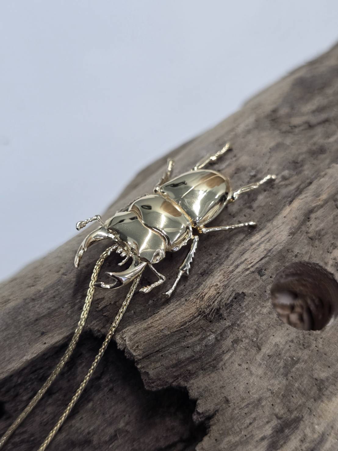 【新時代のハイブリット資産】今逃したら1年待ち『個数限定18金黄金オオクワガタ』富裕層セレブお墨付き18金×ジュエリーオールインセクツ【ゴールドランク】