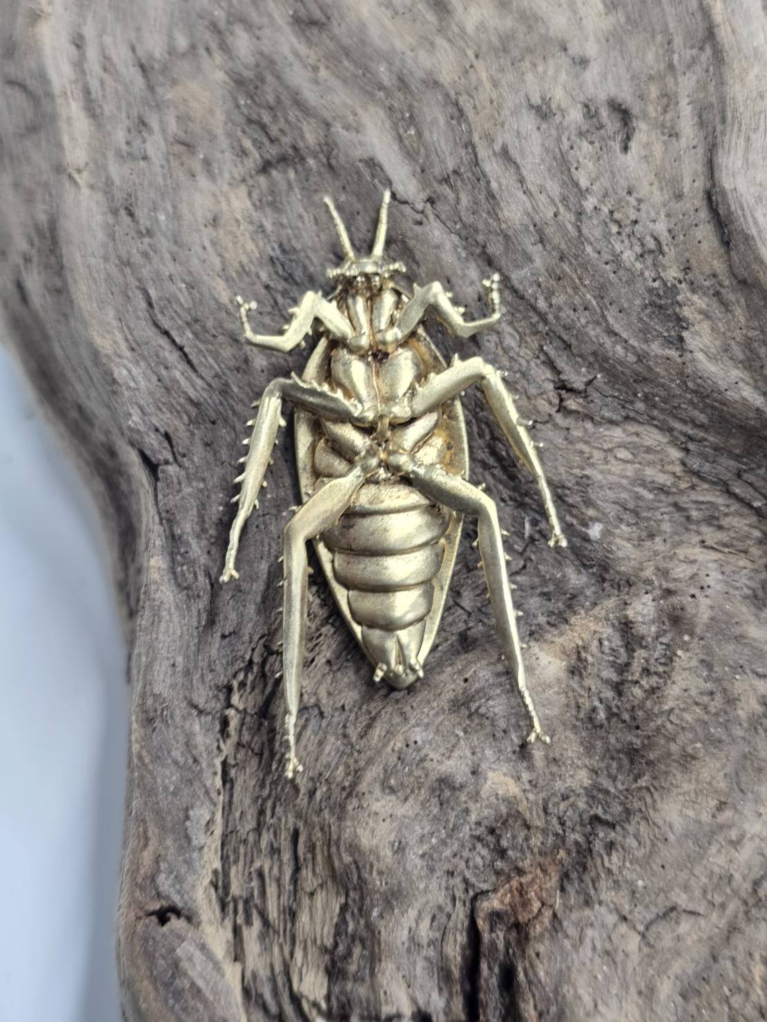 【新時代のハイブリット資産】今逃したら1年待ち『個数限定18金黄金ゴキブリ』富裕層セレブお墨付き18金×ジュエリーオールインセクツ【ゴールドランク】