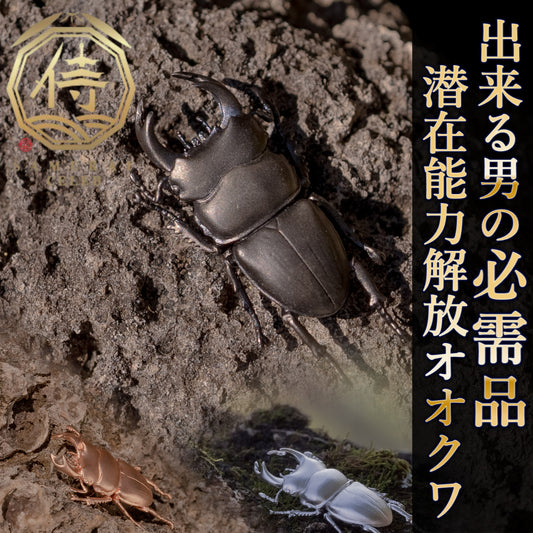 【日本上陸記念セール】絶滅危惧種の黒いダイヤ異名を誇るオオクワガタ セレブお墨付きブランドオールインセクツジュエリー【シルバーランク】