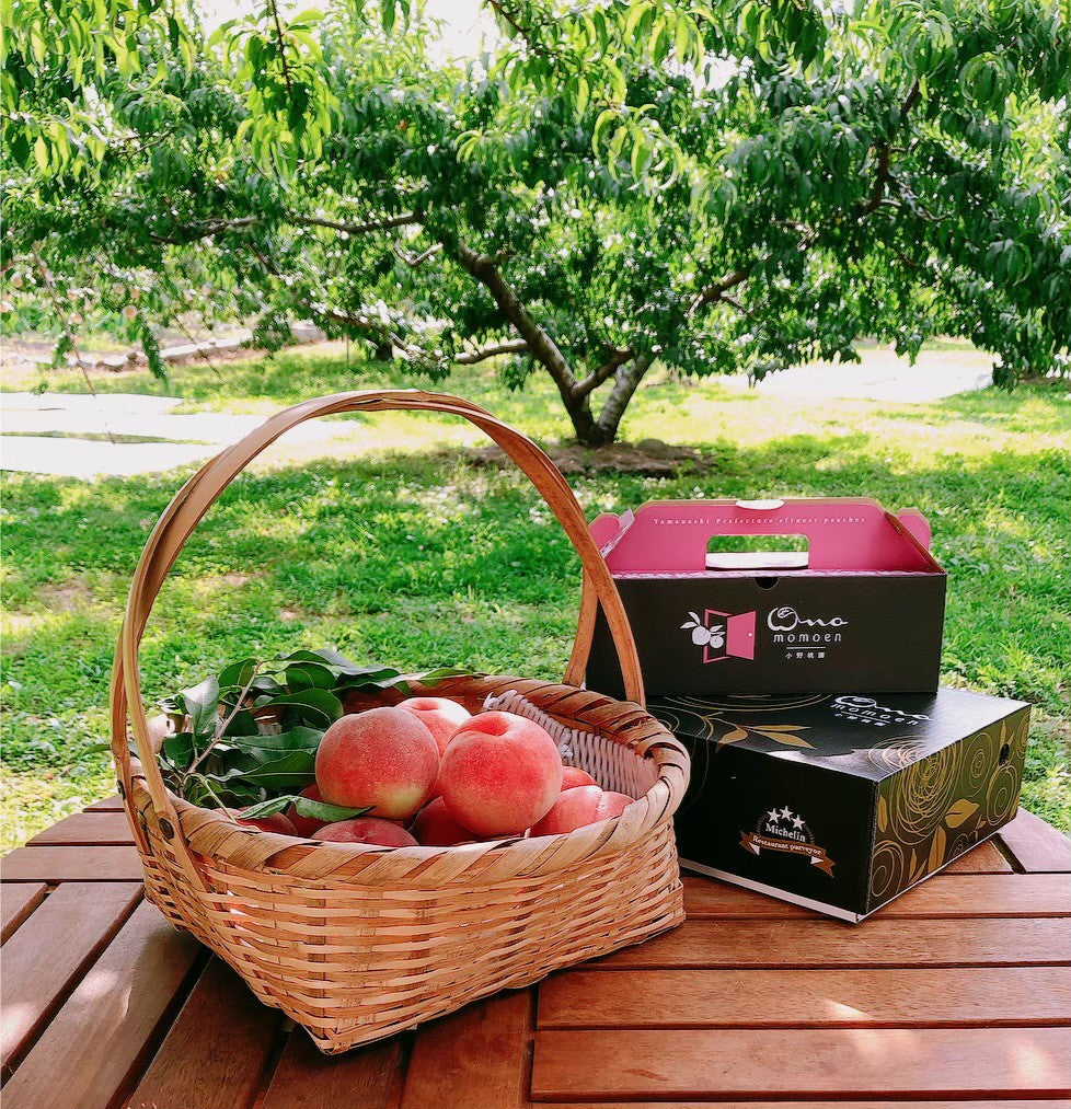 【所さんお届けモノです!紹介】幻のシャトーネクタルピーチ特許製法で搾り上げたセレブリティジュース100ml×10パック入り【小野桃園×サムライセレブ】