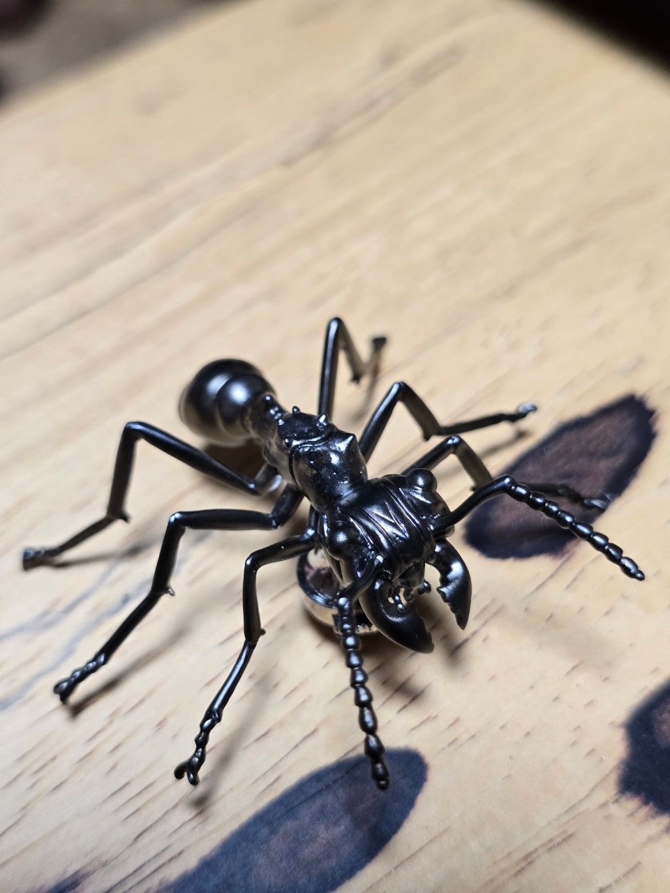 【日本上陸記念セール】夢を現実化させるパラポネラアリ セレブお墨付きブランドオールインセクツジュエリー【シルバーランク】