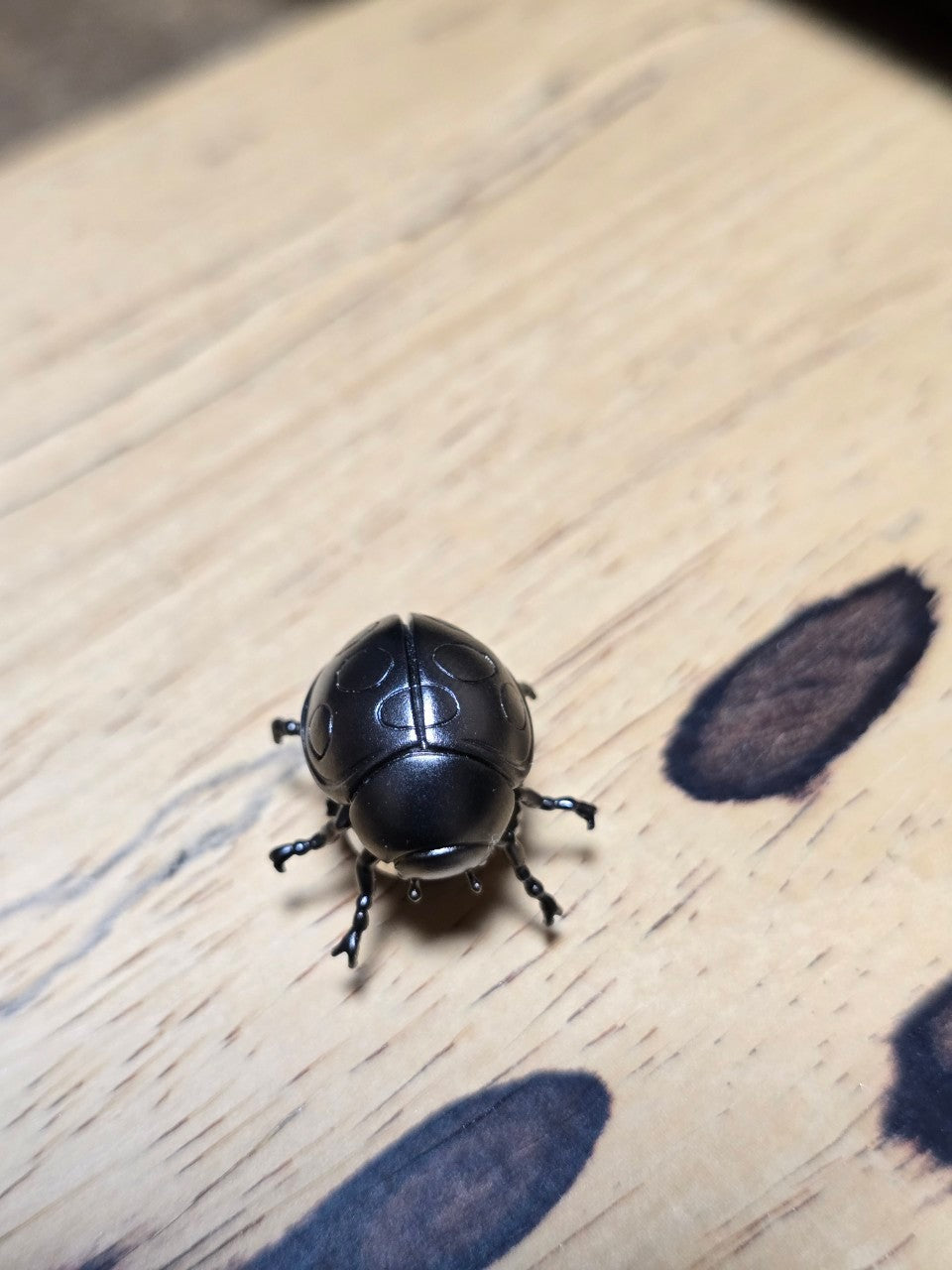 【日本上陸記念セール】邪気を浄化し恋愛運を上昇させるテントウムシ セレブお墨付きブランドオールインセクツジュエリー【シルバーランク】