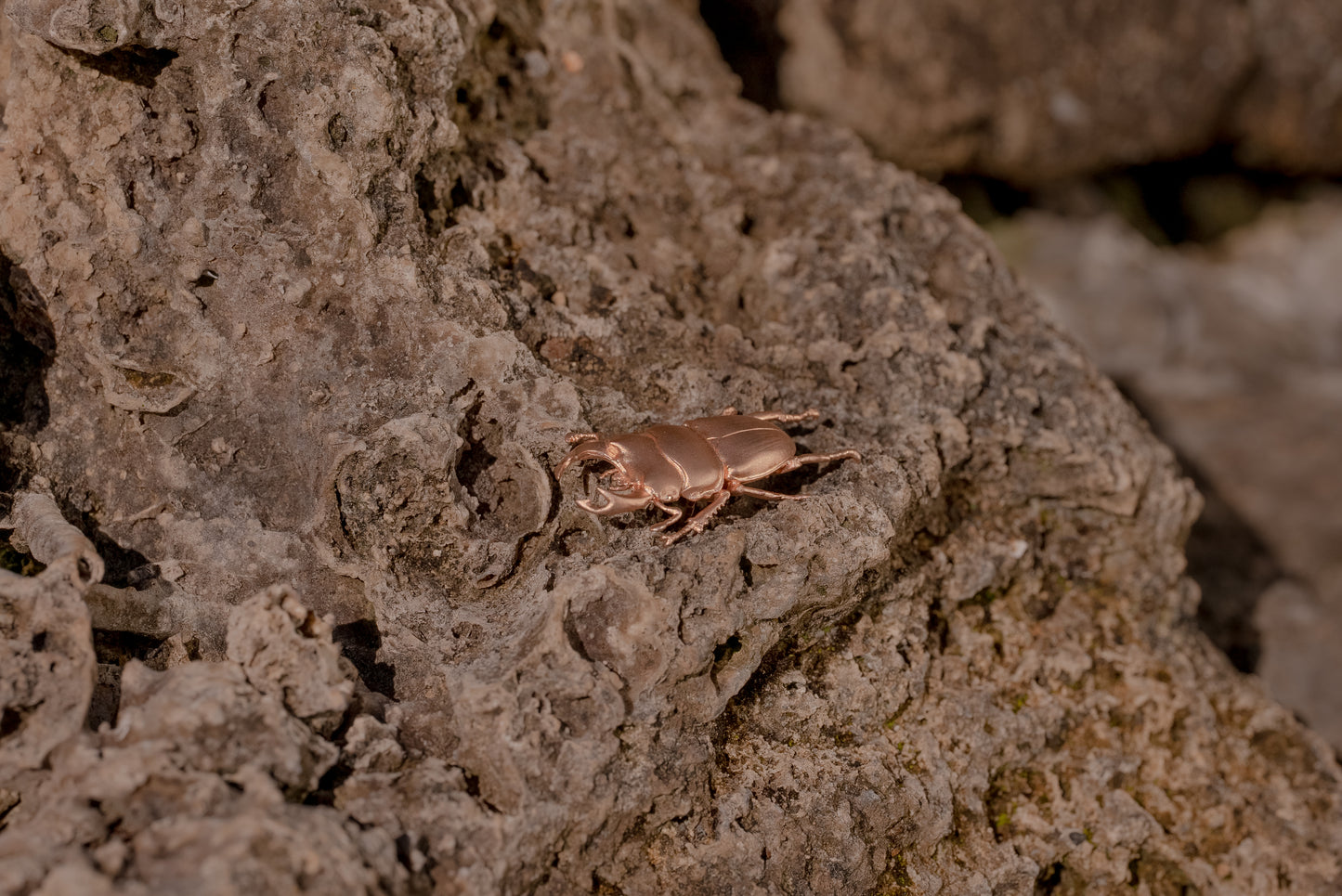 【日本上陸記念セール】絶滅危惧種の黒いダイヤ異名を誇るオオクワガタ セレブお墨付きブランドオールインセクツジュエリー【シルバーランク】
