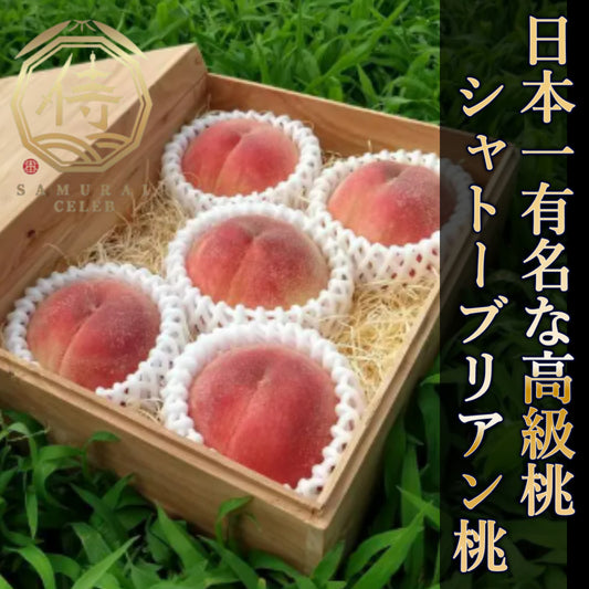🏆世界の果てまでイッテQ！話題沸騰🏆幻のシャトーブリアン桃🍑1000個中1個の最高級桃【小野桃園×サムライセレブ】