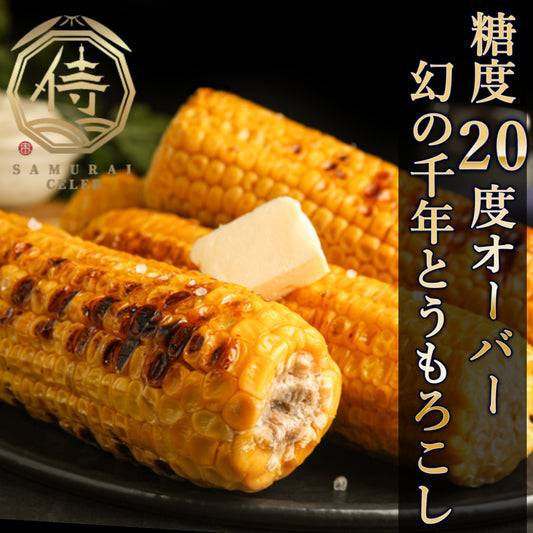 📺日テレnews every特集📺市場に出回る事のない糖度20度超えの幻の千年とうもろこし約1.5kg4本