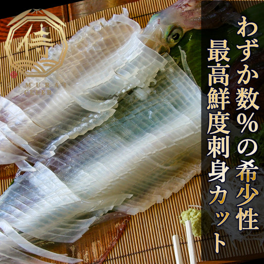 📺TBS大泉サンド出演📺超希少の小田原甲斐姫スルメイカ市場になかなか出回らない逸品【刺身カットバージョン】